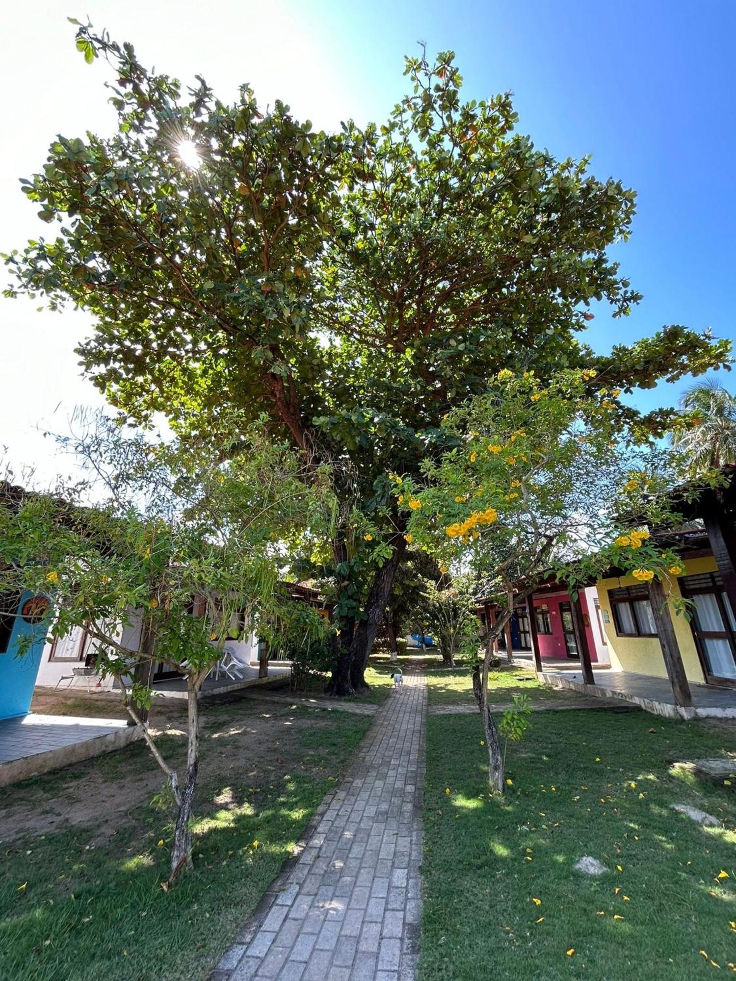 Chales Praias Brasileiras Maragogi Exterior photo